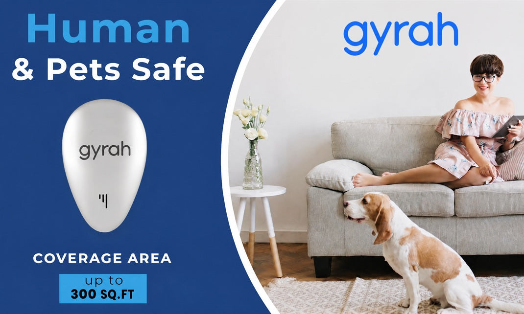 gyrah-pest-2.jpg