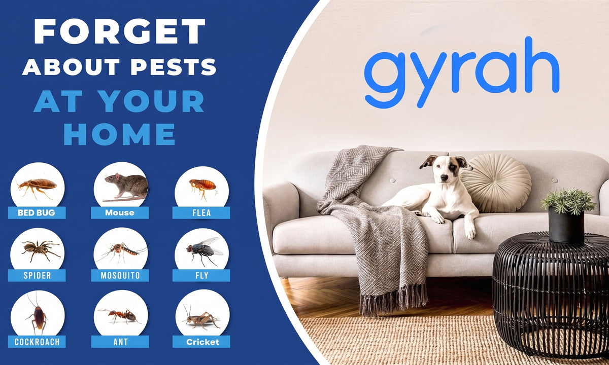 gyrah-pest-pestlab_cov.jpg